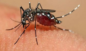 Jedna osoba u Danskoj pozitivna na virus Zika