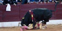 Matador u areni sa bebom u naručju izazvao polemiku (Foto)