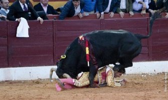 Matador u areni sa bebom u naručju izazvao polemiku (Foto)