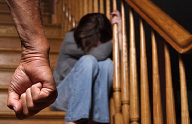 488 osoba obratilo se za pomoć Sigurnoj ženskoj kući zbog porodičnog nasilja