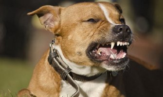 Poštari zbog agresivnih pasa obustavili dostavu pošte 