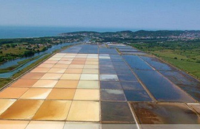 Ministarstvo opredijeljeno za zaštitu Solane