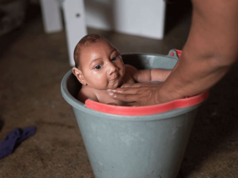 301454125209zikabrazilvirus