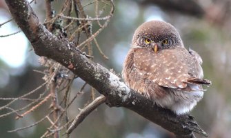 Evo kakvo nas vrijeme očekuje do subote