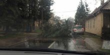 Veliko nevrijeme u Banjaluci: Ulice poplavljene, padalo i drveće (VIDEO) (FOTO)