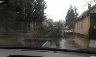 Veliko nevrijeme u Banjaluci: Ulice poplavljene, padalo i drveće (VIDEO) (FOTO)