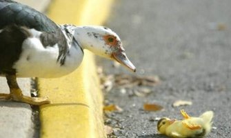 Evo kakvo nas vrijeme očekuje do četvrtka