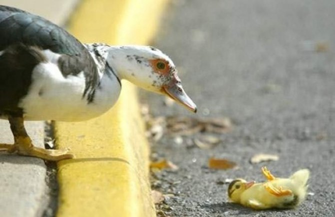 Evo kakvo nas vrijeme očekuje do četvrtka