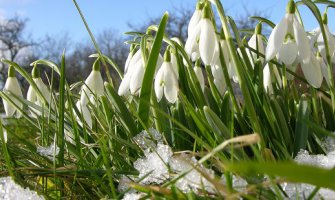 Evo kakvo nas vrijeme očekuje do petka