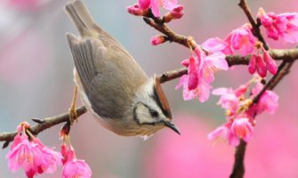 Pretežno sunčano, do 22 stepena
