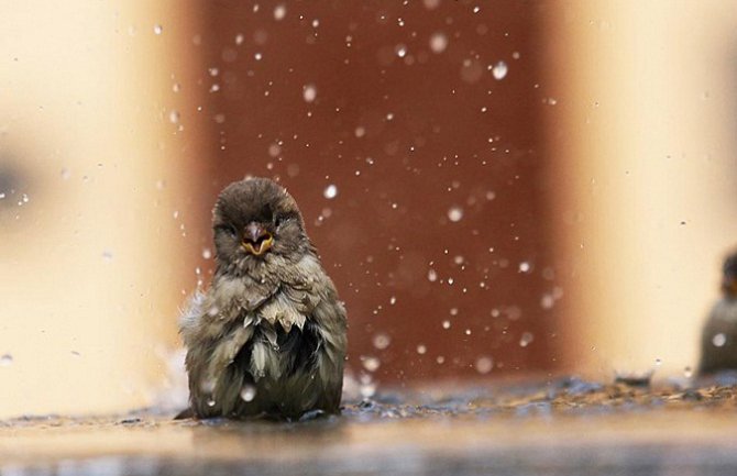 Oblačno sa kišom i grmljavinom