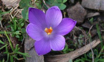 Evo kakvo nas vrijeme očekuje do petka