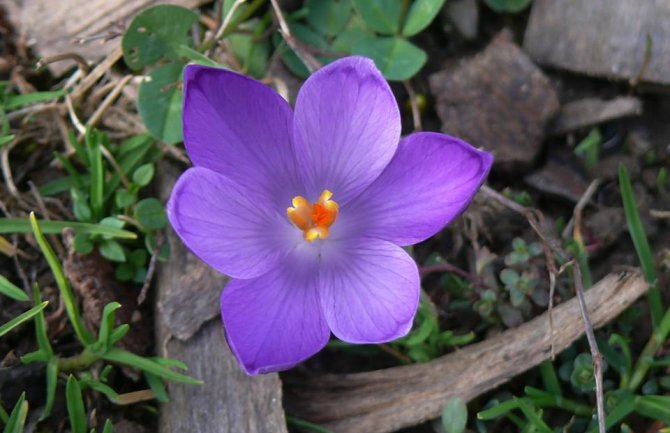 Evo kakvo nas vrijeme očekuje do petka