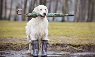 Oblačno, tokom noći kiša, pljuskovi i grmljavina