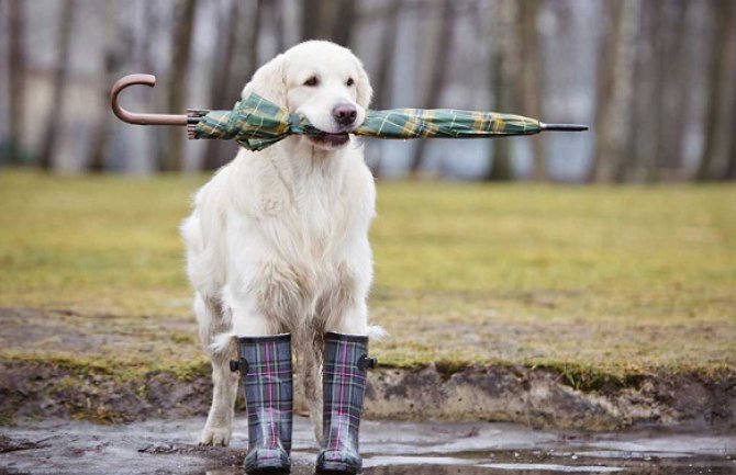 Oblačno, tokom noći kiša, pljuskovi i grmljavina