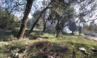 Glavni grad dobija avanturistički park na Gorici