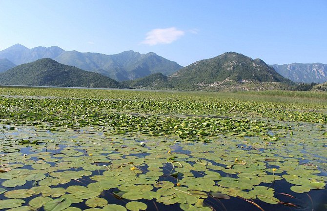 U četvrtak otvaranje Info centra u NP Skadarsko jezero