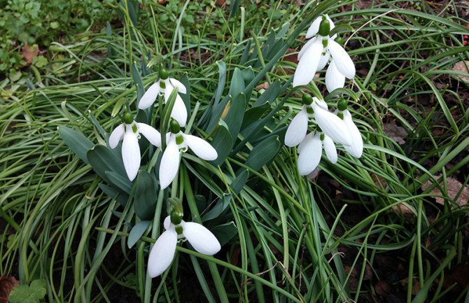 Slabije padavine, do 15 stepeni