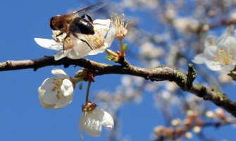 Promjenljivo oblačno, ponegdje slaba kiša