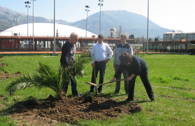 Bar: “Zeleni plan 1000”- Završen iskop za sadnju 42 masline i 8 palmi