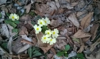 Sunčano za kraj zime, evo kakvo nas vrijeme očekuje do srijede