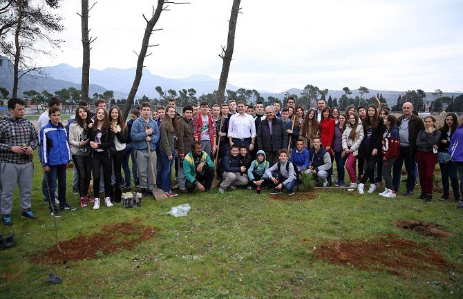 Svjetski dan šuma: Zasađeno preko 80 sadnica u park šumi Zlatica (Video)