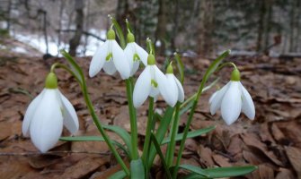 Evo kakvo nas vrijeme očekuje do srijede