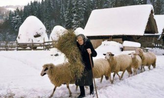 Baka Jelisavka sa Durmitora gazi 98. godinu   