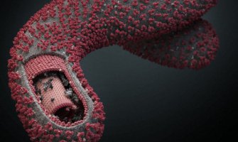 Ebola više ne predstavlja globalnu prijetnju