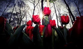 Danas sunčano, temperatura do 25 stepeni