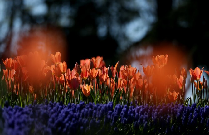 Pretežno sunčano, do 28 stepeni