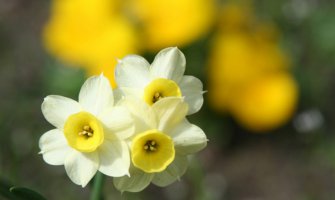 Micev: Najhladniji april u posljednje 24 godine, do 29. promjenljivo sa učestalom pojavom kiše