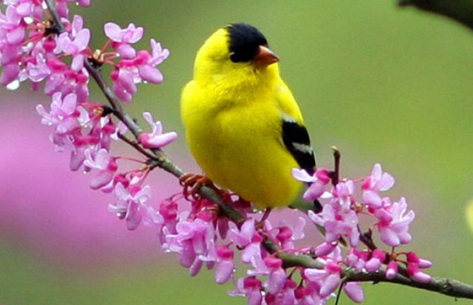 Evo kakvo vas vrijeme očekuje danas i sjutra