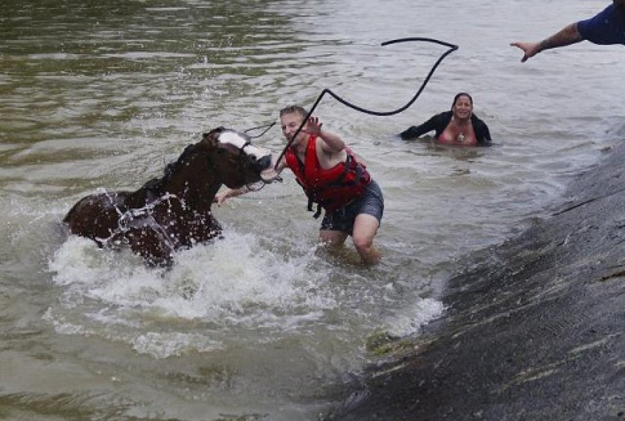 127855786957160576a25ab407356844v4big