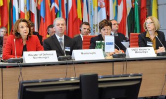 Pejanović- Đurišić: Uništavanje viškova naoružanja i municije prioritet