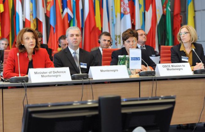 Pejanović- Đurišić: Uništavanje viškova naoružanja i municije prioritet