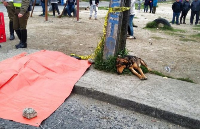 Tuga: Pas ležao slomljenog srca pored pregaženog mladića (VIDEO)