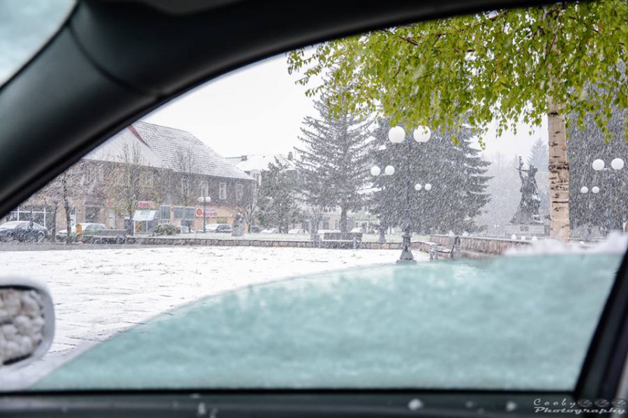 13010615176623621694138317161682520185298n