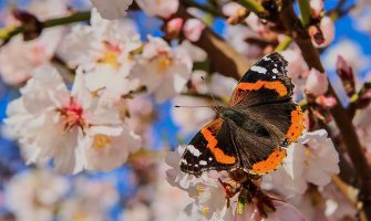 Pogledajte kakvo nas vrijeme očekuje do kraja sedmice