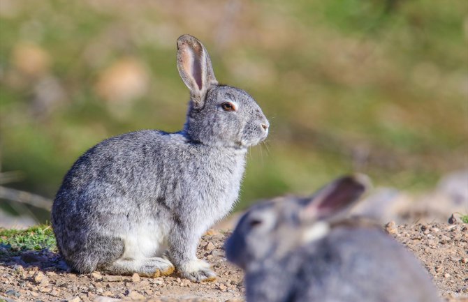 Evo kakvo nas vrijeme očekuje za praznike