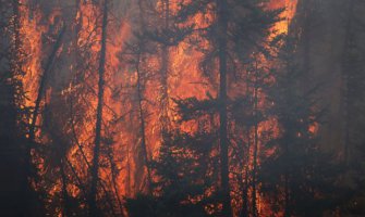 Tokom jula u CG zabilježeno oko 100 požara, danas gorio Nikšić