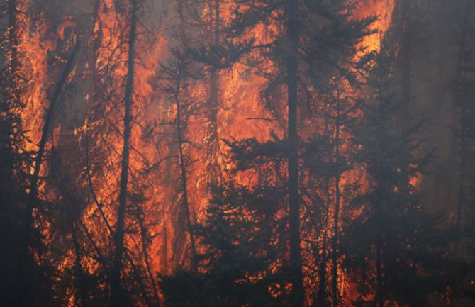 Tokom jula u CG zabilježeno oko 100 požara, danas gorio Nikšić