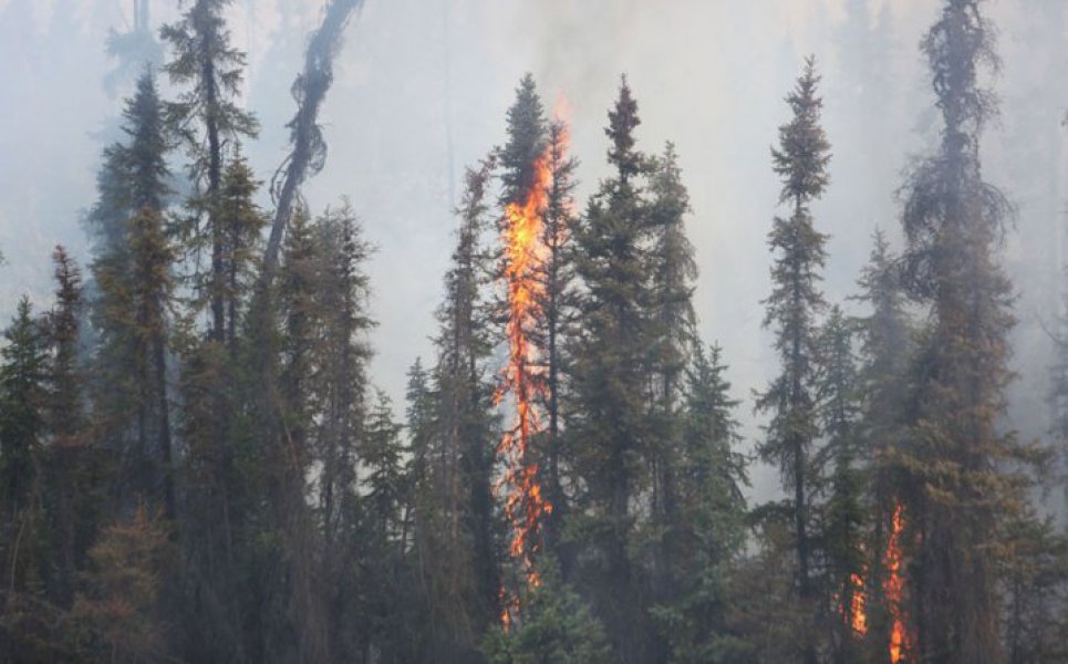 572e3f336b5c4e8b868e2c630a0a0a64pozar11718x446