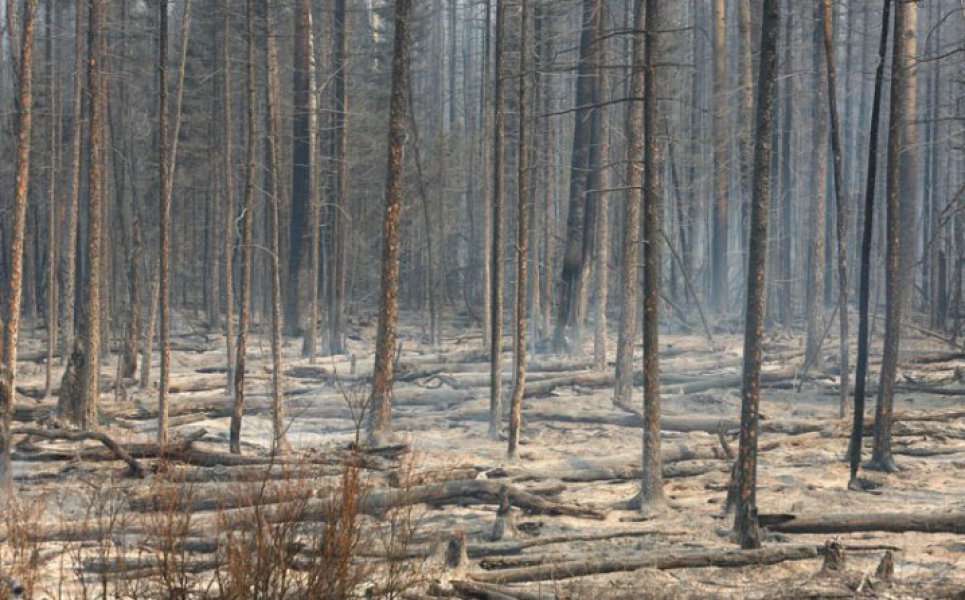 572e3f38cce442e0acaf2c630a0a0a64pozar7718x446