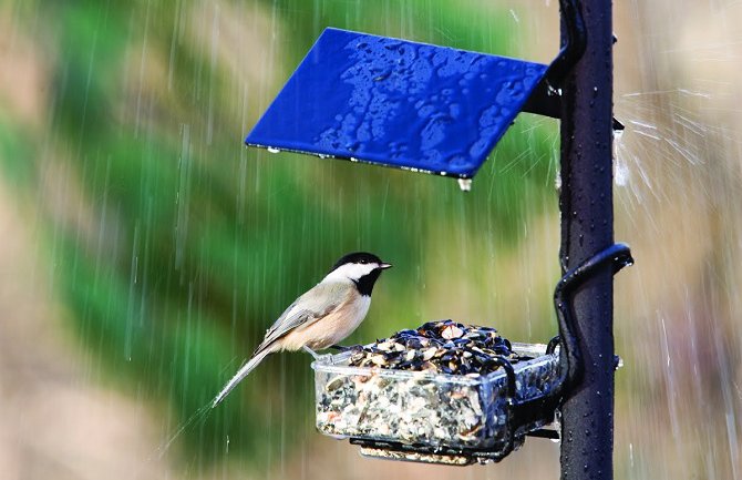Evo kakvo vas vrijeme očekuje za dane vikenda