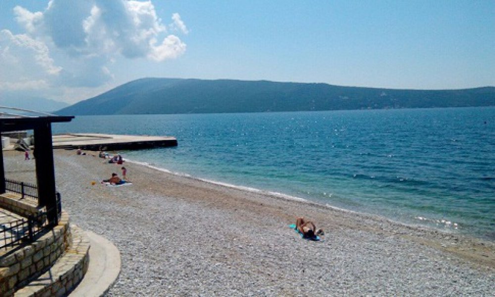 plazasavina