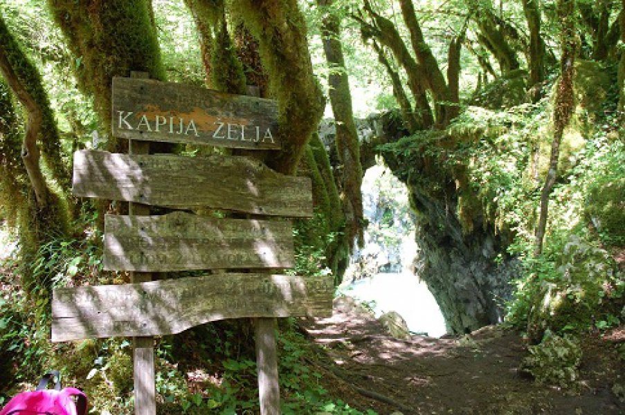 133347775582793943421111476042868o