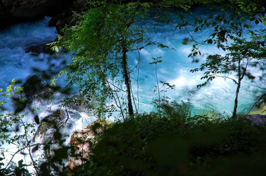 13340437558279337675450346619954o