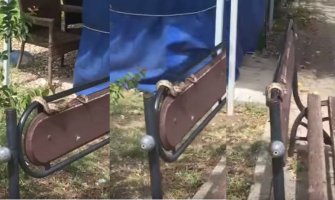 Bar: Zmija odmara na klupi u centru (VIDEO)