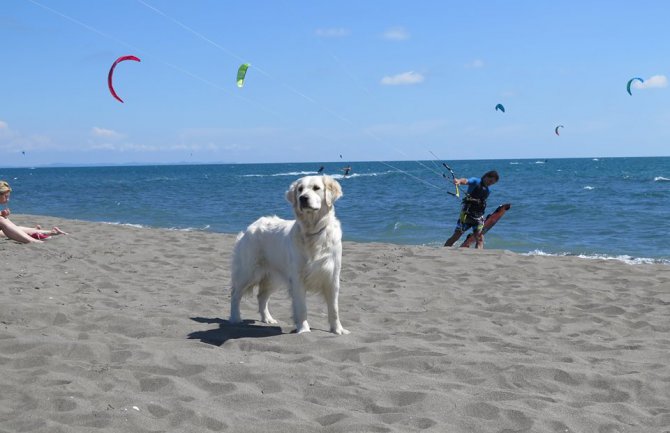 Kiša poslijepodne, do 28 stepeni 